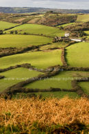 field patterns, West Dorset